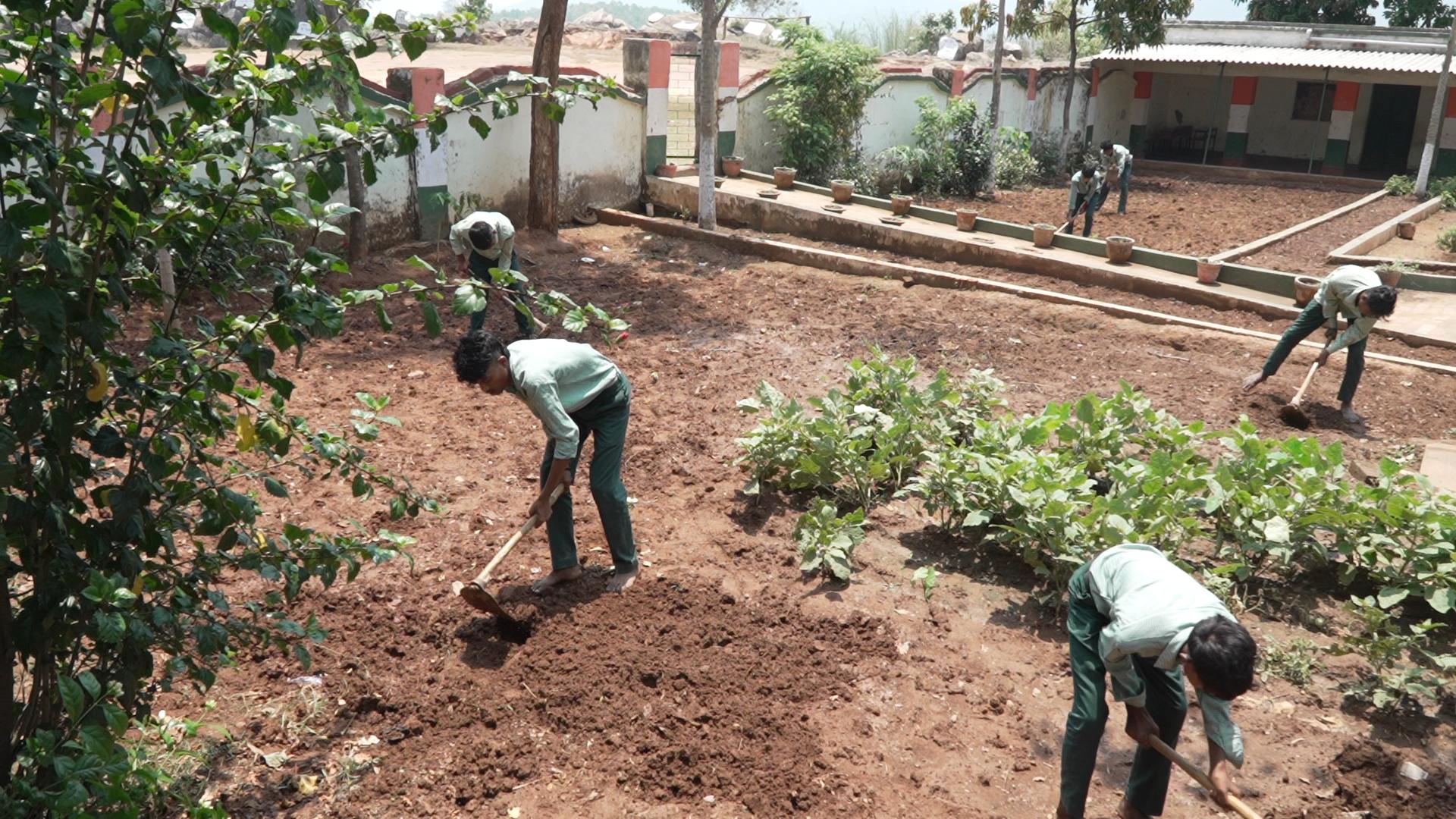 Nutrition Garden